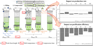 Graphical Abstract