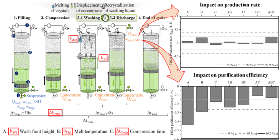 Graphical Abstract