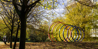 Steel spectral rings surrounded by trees in autumn.
